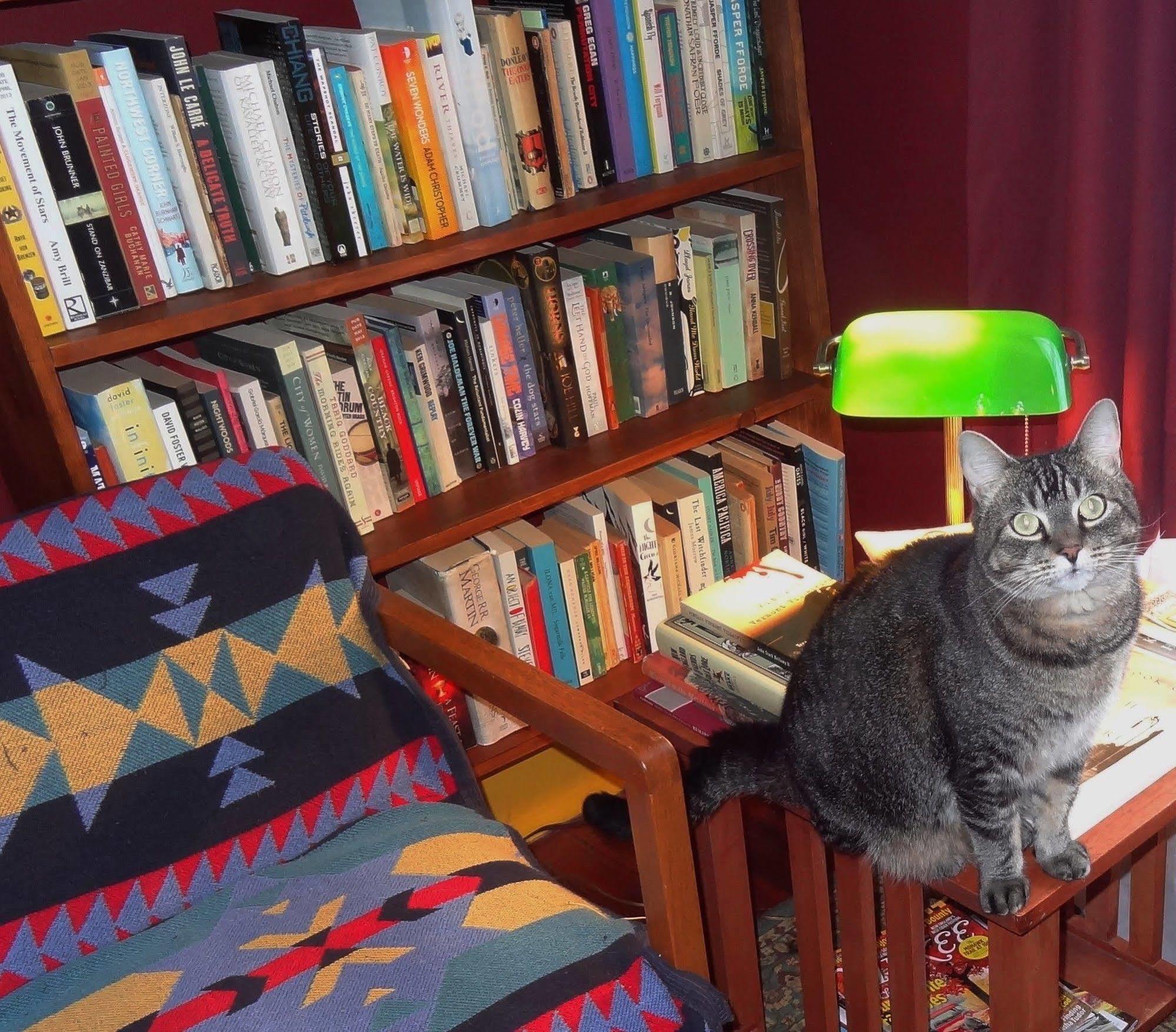Bed and Breakfast The One Cat Brattleboro Exterior foto
